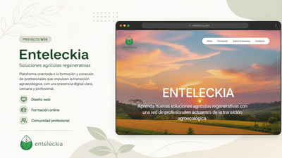 Enteleckia - Desarrollo Web - Création de site internet