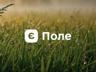 E-Pole – eCommerce Website for Agricultural Business - Desarrollo de Software