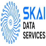 SkAI Data Services logo