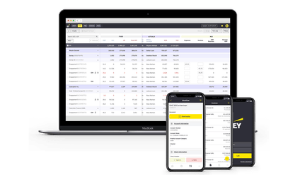 Internal Invoice Management Application for EY - Web Applicatie