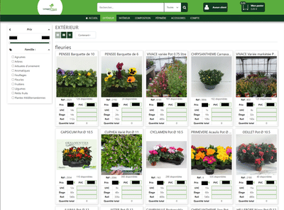 Limagne Fleurs - Grossiste en végétaux - E-commerce