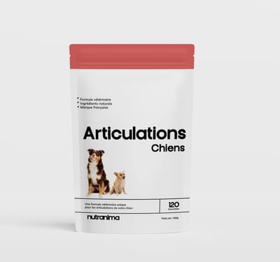 Compléments pour animaux - Marketing