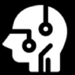 P Skauge Consulting