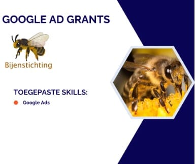 Google Grants voor de Bijenstichting - Online Advertising