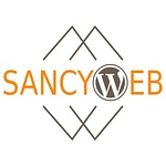 Sancyweb logo