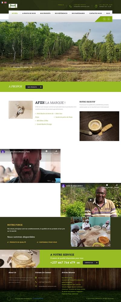 AFIDI CAMEROON (https://www.afidi-cameroon.com/fr) - Website Creation