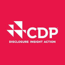 Marketing Strategy & Business Development - Content Strategy
