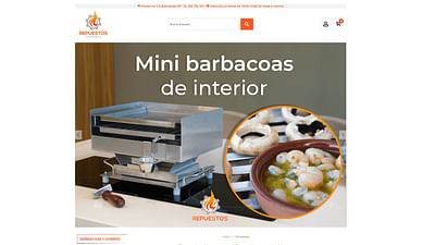 Website&Marketing para Repuestos Chimeneas - Réseaux sociaux