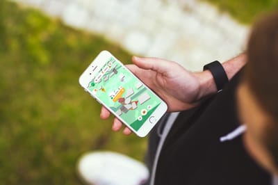 beeactive -Bienen, Blumen & Du - Game Entwicklung