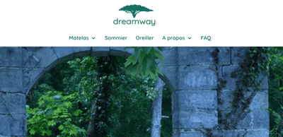 Dreamway - SEO