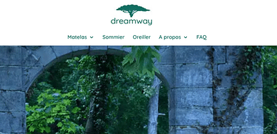Dreamway - Publicité en ligne