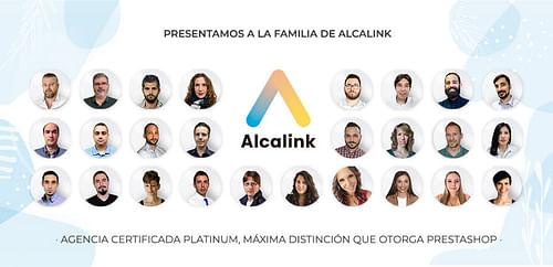 Alcalink eCommerce & SEO cover