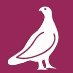Ptarmigan Media