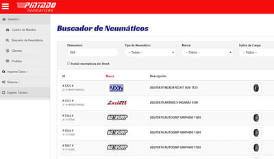Portal B2B de Neumaticos Pintado - Aplicación Web