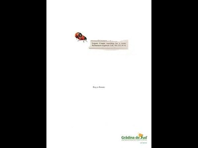 "Ladybird" - Werbung