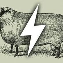 SparkFarm