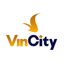 Digital Strategy Consultation for VinCity - Onlinewerbung