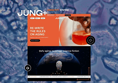 Shopify Custom Development for Jung - E-commerce