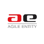 Agile Entity