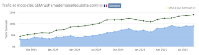 Mademoiselle Culotte : SEO / Site - Référencement naturel