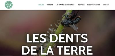 Site internet : LES DENTS DE LA TERRE - Website Creatie