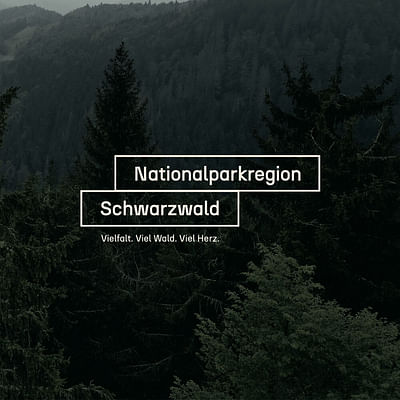 Corporate Design Nationalparkregion Schwarzwald - Branding & Positioning