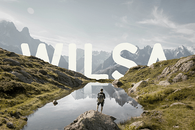 Wilsa - Identité Graphique