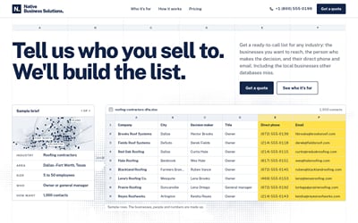 Native Business Solutions — website - Website Creatie