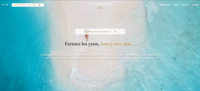 Création du site Co-Selectionist - Webseitengestaltung