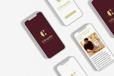 Création de web app pour Les Célespains - Application web