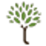 Wiretree-Toronto Web Design-Development