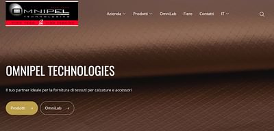 Omnipel Technologies Web Site - Digital Strategy