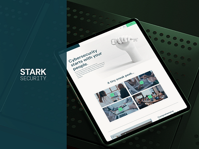 Stark Security - Web Applicatie