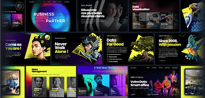 identité visuelle & web design - Ergonomie (UX/UI)