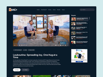 Multi-channel streaming platform - Digital Strategy