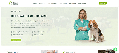 Beluga Healthcare Web Design Project - Website Creation