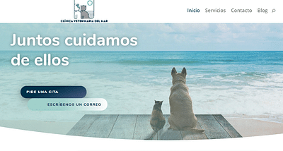 Clínica Veterinaria del Mar - Webseitengestaltung