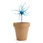 Elucubracion.com