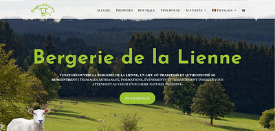 Création du site et d'une boutique en ligne - Création de site internet