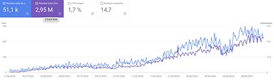 SEO multilingual for international Language School - Référencement naturel