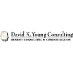 David K Young Consulting LLC