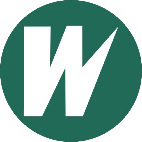 Leader Web Sàrl