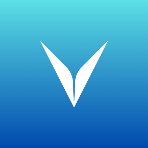 Visla