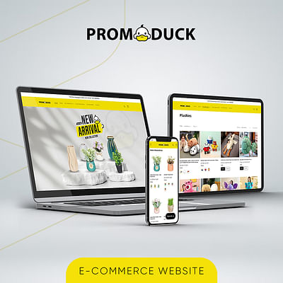 Promoduck Stores (Online Store) - Webseitengestaltung