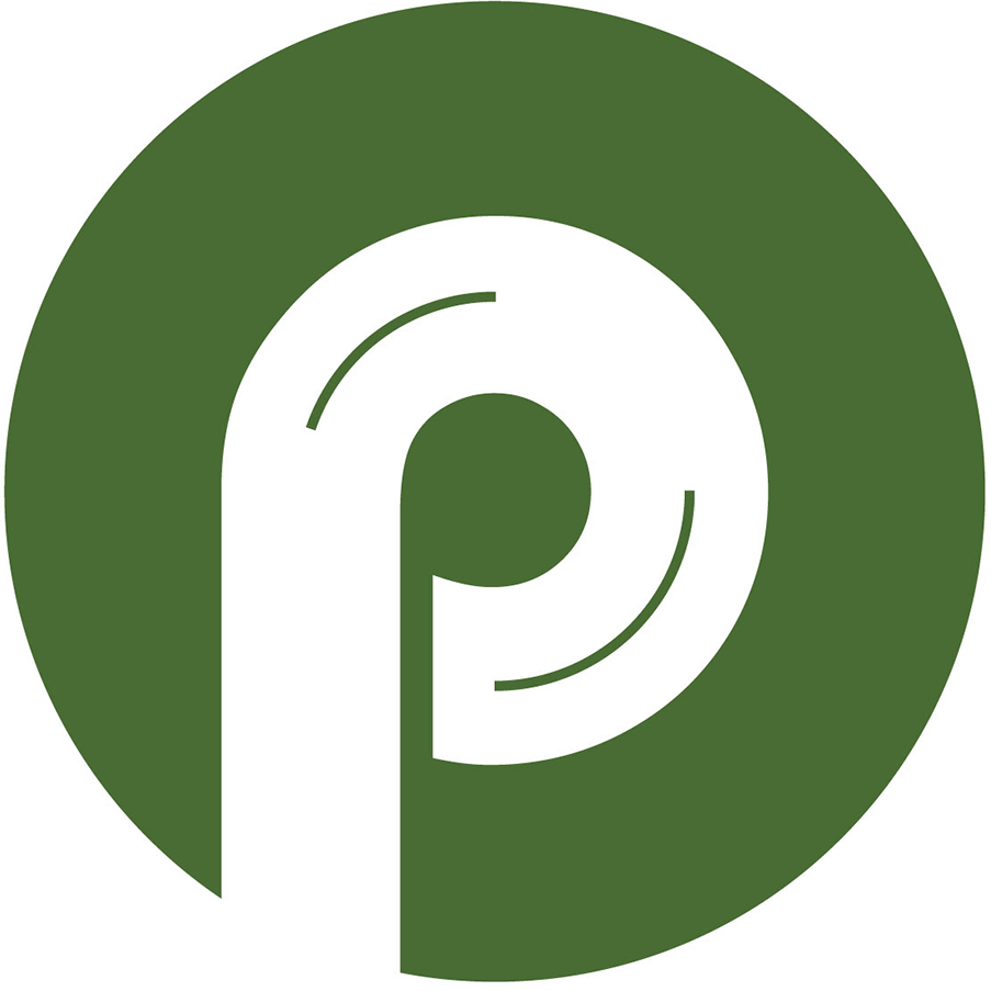 Pedal Advertising & Digital Marketing (Pedal Group)