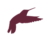 Bird Digital