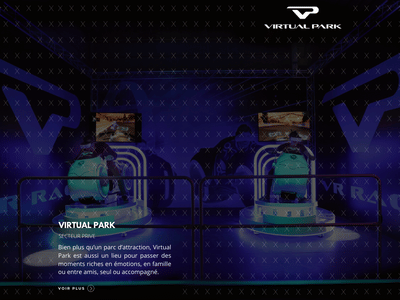 Campagnes Social Ads & Google Ads | Virtual Park - Online Advertising
