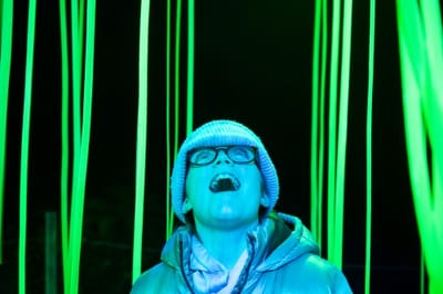 The Enchanted Forest 2024: Marketing Campaign - Marketing