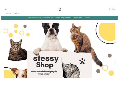 Création site E-commerce pour une Animalerie - Creación de Sitios Web