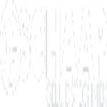 Schaap Geluid